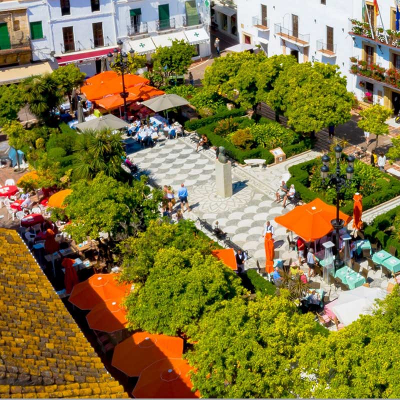 restaurante plaza naranjos